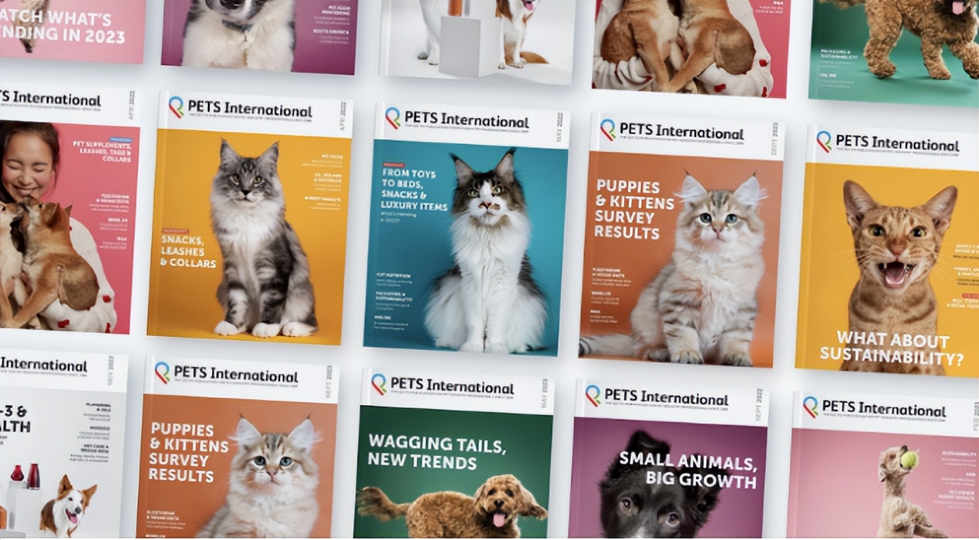 风靡欧美的宠物用品,顶级宠物用品推荐