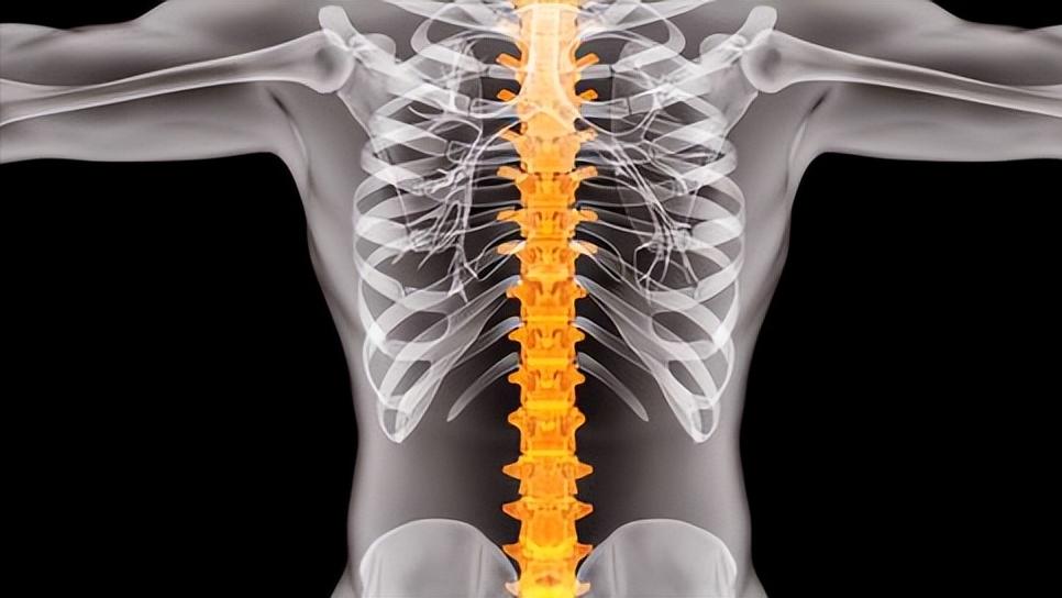 女性缺乏雌激素的七个表现,雌激素旺盛的女性会有这几个表现