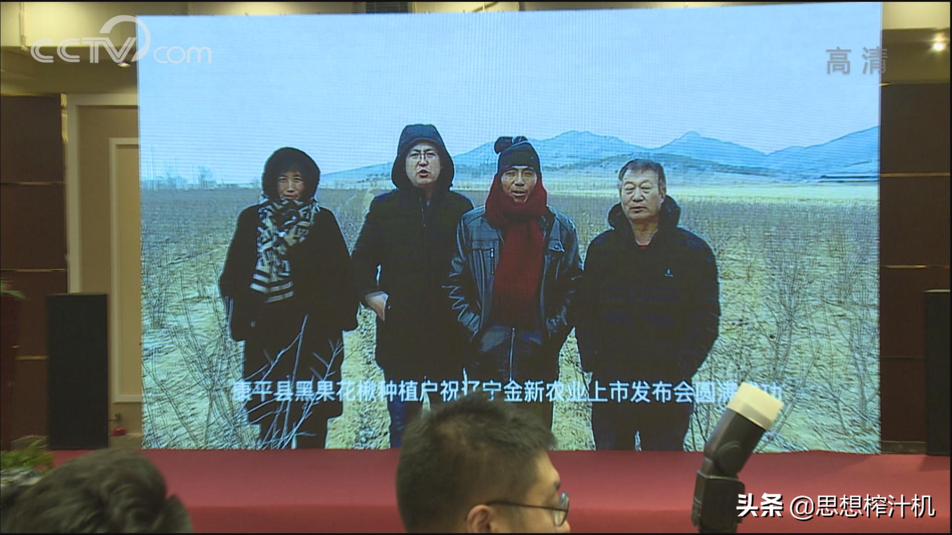 黑果花楸市场前景如何,辽宁黑果花楸苗基地