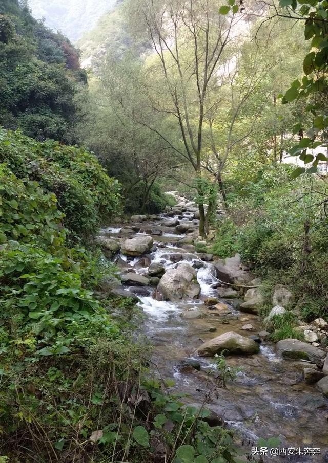 翠华山爬山攻略,翠华山爬山攻略一日游