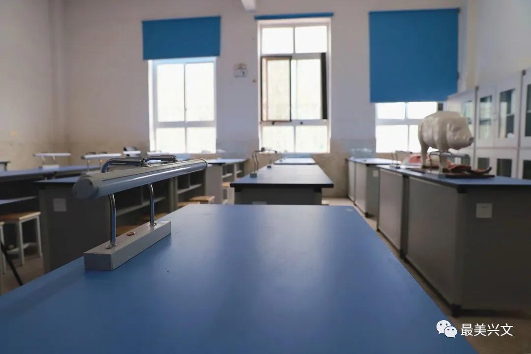 兴文学校,兴文新学校在哪里