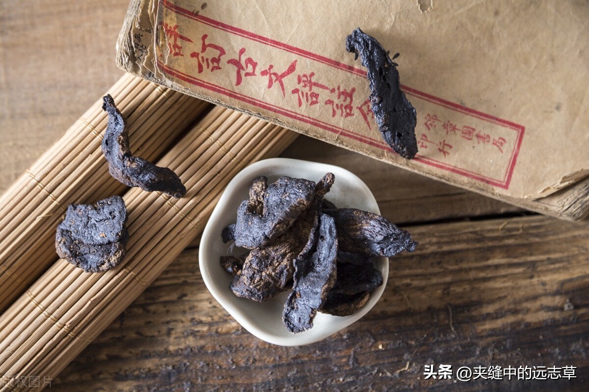 突然大面积脱发斑秃是什么病,脱发还有斑秃的迹象怎么办