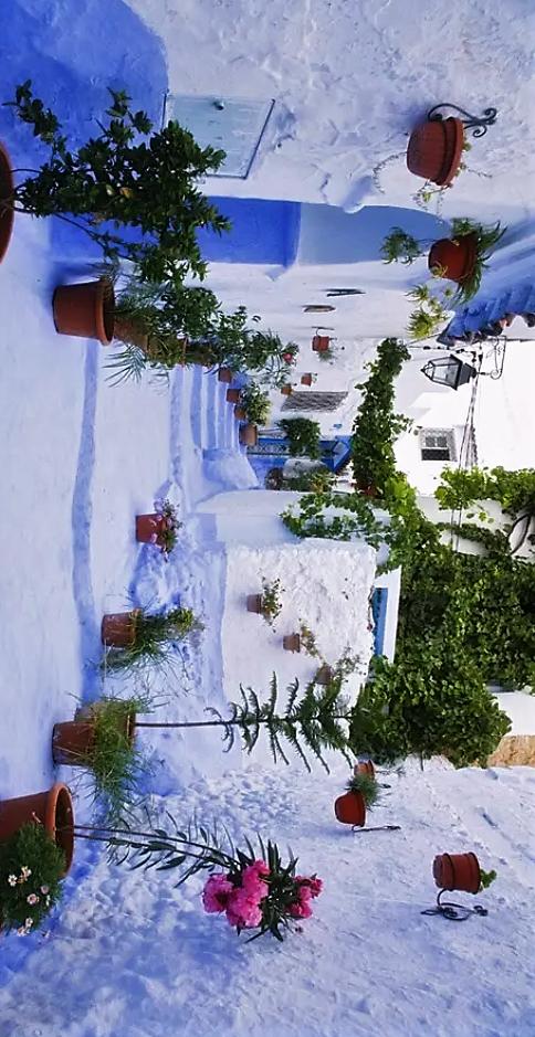 2022世界杯法国vs摩洛哥完整版,法国vs摩洛哥全场比赛回放