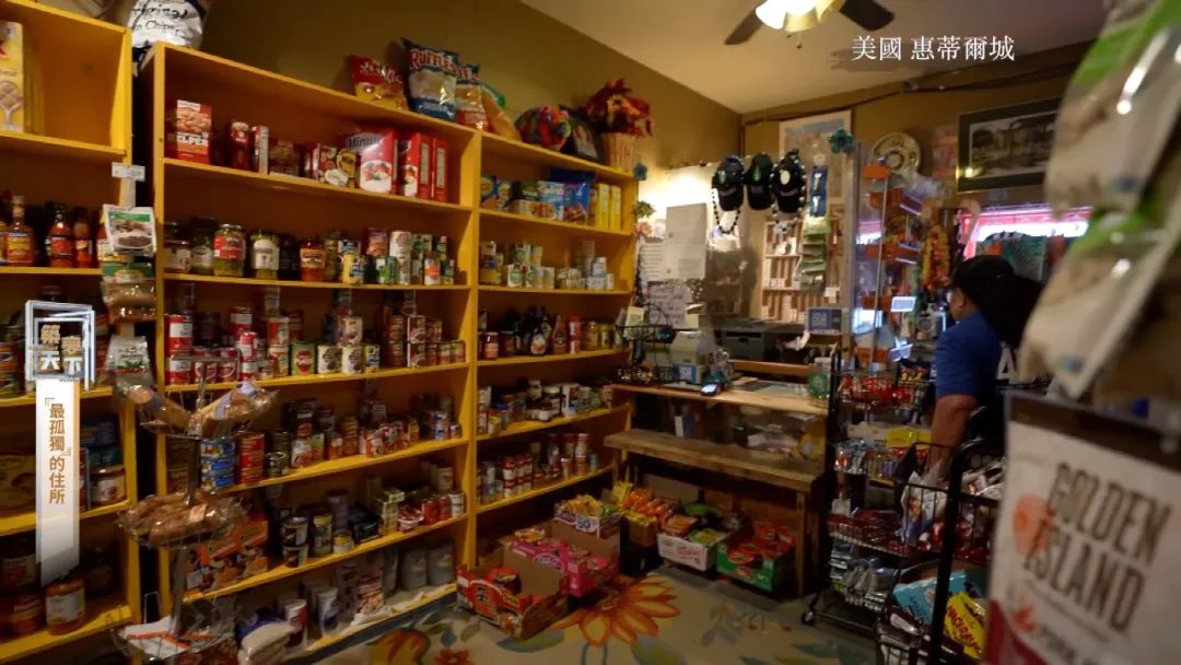 孤岛探秘试玩,孤岛探秘小说