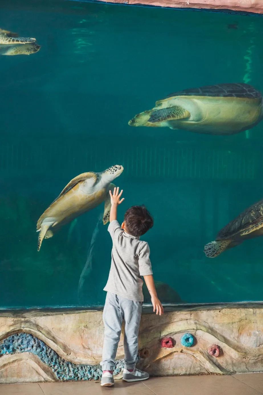 抓住暑期快乐的时光,抓住暑假的尾巴深圳室内游玩攻略