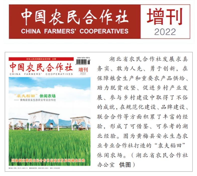 南漳县周湾食用菌种植专业合作社,南漳县龙香食用菌种植专业合作社