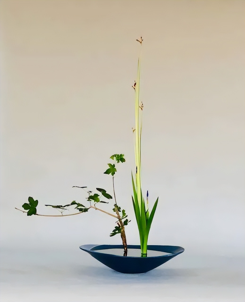 日式插花小原流花道,日式插花的13个基本技巧