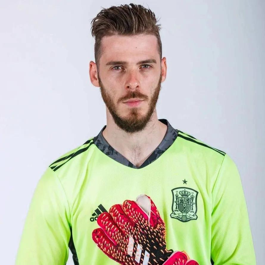 足坛阵容大全,足坛满门忠烈阵容