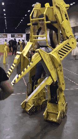 松鼠储备粮被偷冻的发抖,松鼠藏的储备粮被偷后续