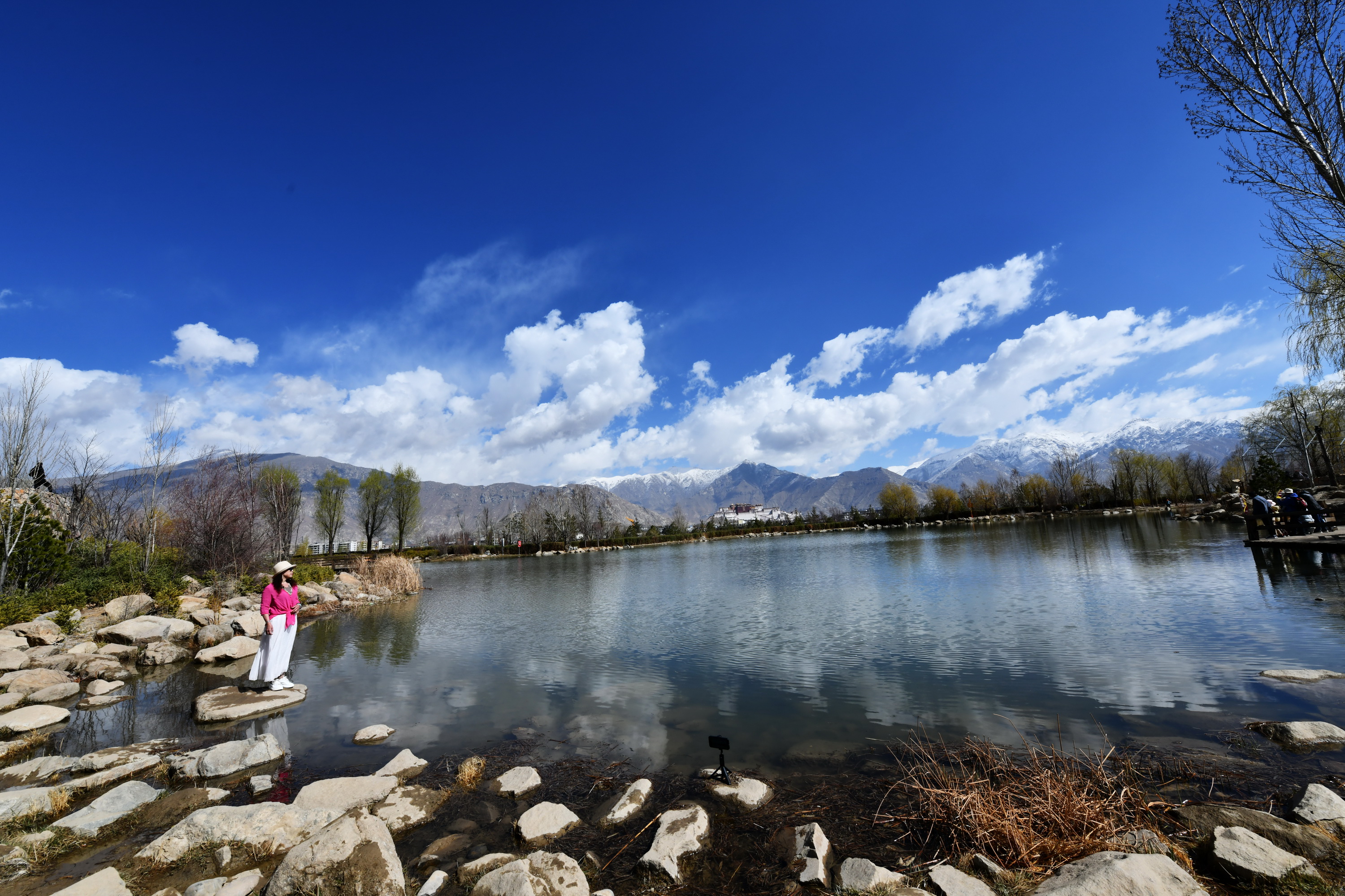 我的林芝一日游攻略,林芝看桃花西藏之旅