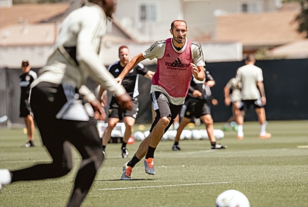 今日洛杉矶银河vs洛杉矶比分预测,洛杉矶fcvs洛杉矶银河赔率