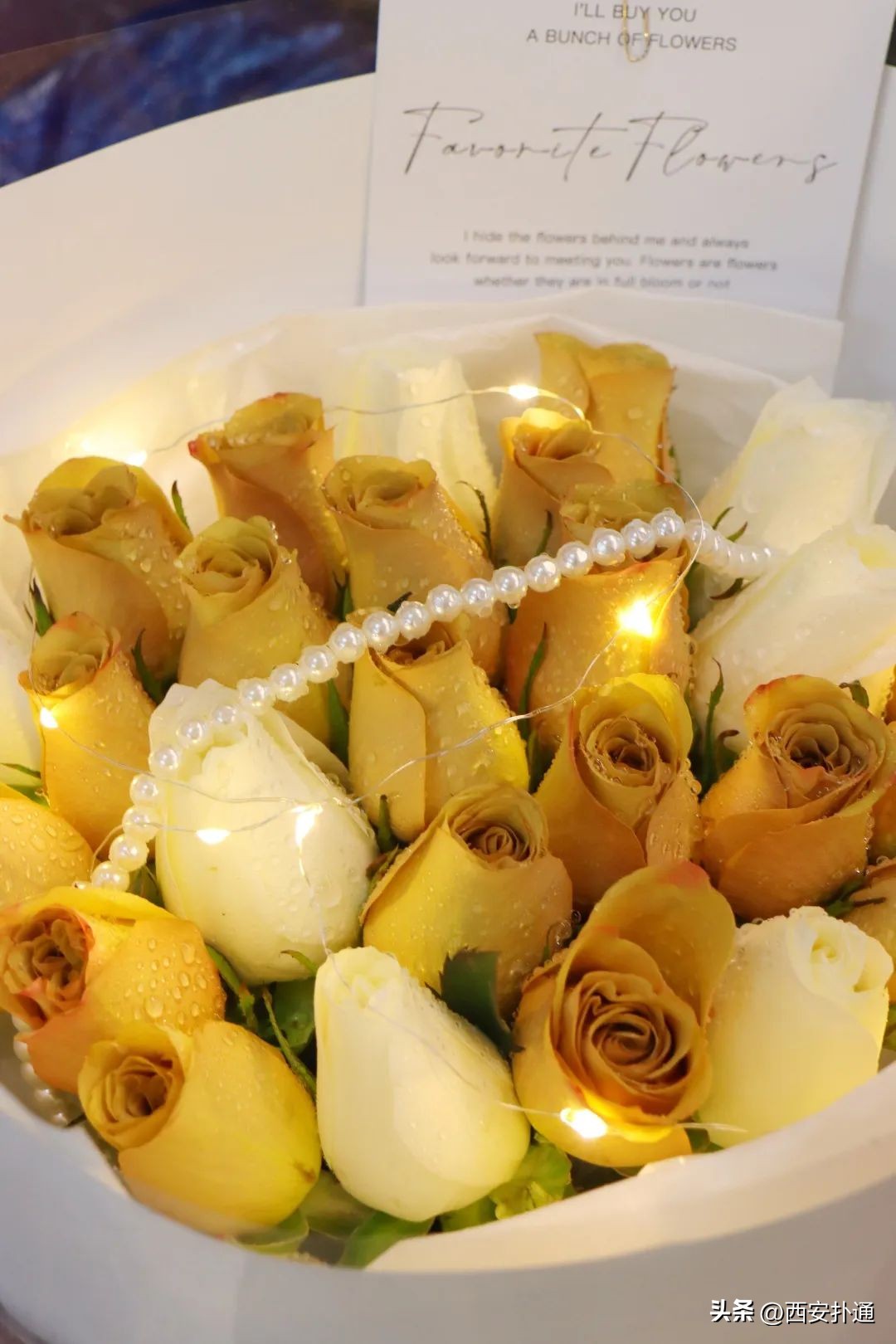 西安情人节去哪比较好,西安买花攻略