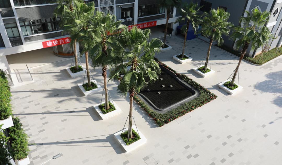 承办25高！招生规模扩3倍！这所学校还有这些变革刷新你的想象