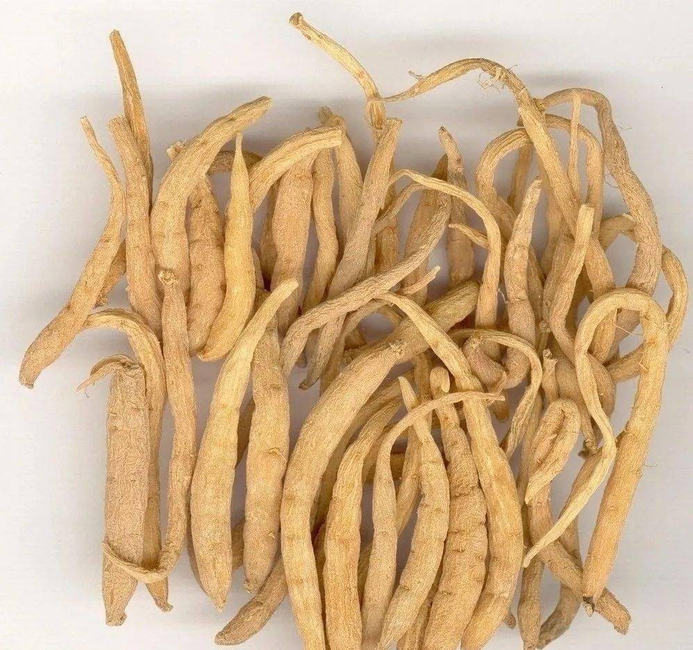 健血散，补血益气治疗白细胞减少症中药方剂