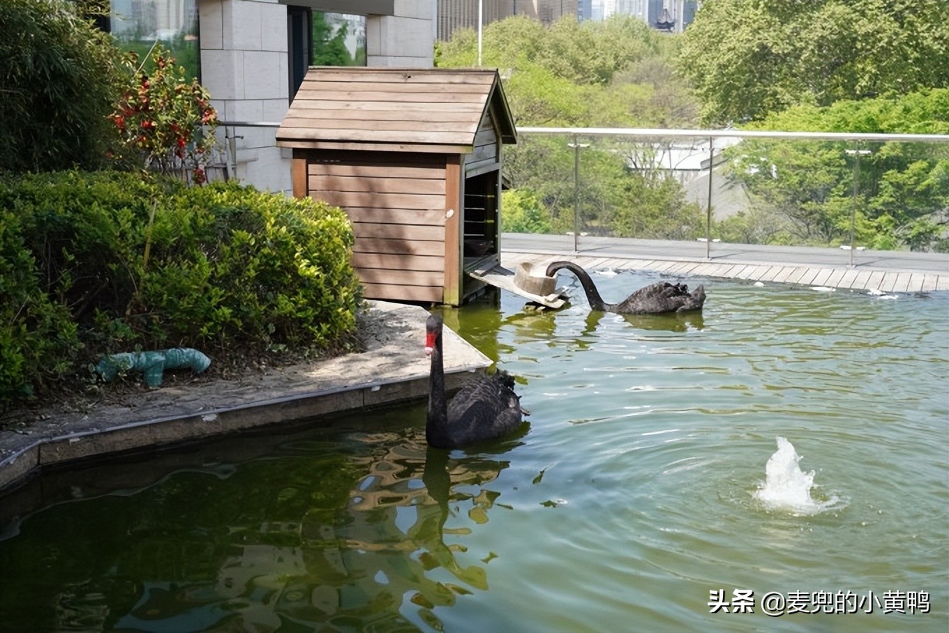 感受南京的艺术风格美食分享,中式情调南京美食