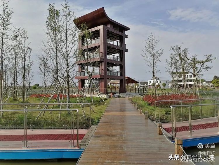 龙港市水心夜景,龙港市水心岛天气