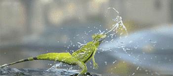 兄弟抢红包是挺快的，就是有点费手机，这屏幕得经常换吧，哈哈哈