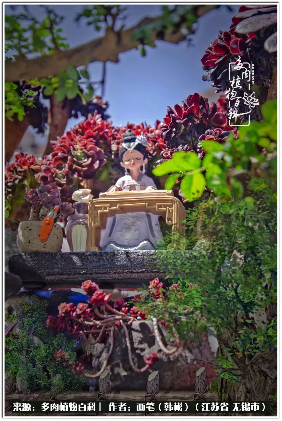 月满西楼别有一番滋味在心头,绿肥红瘦