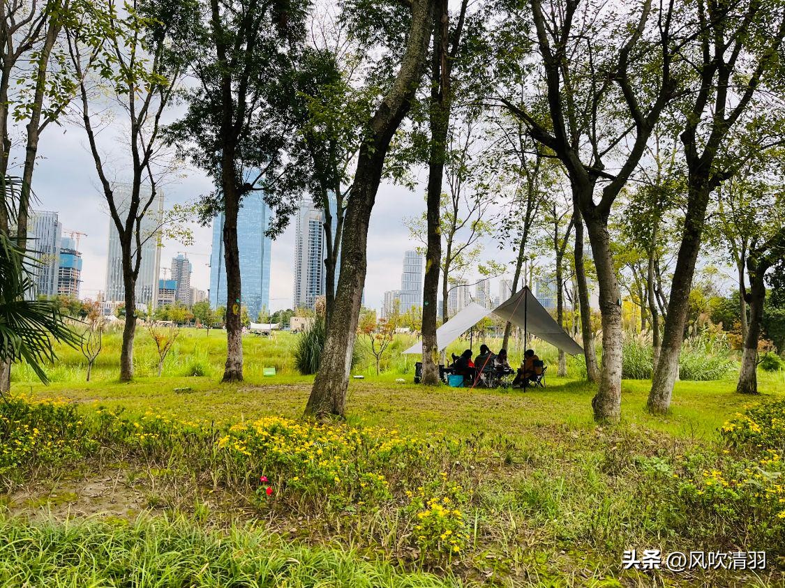 成都免费最适合夜晚的公园,成都城区公园游玩