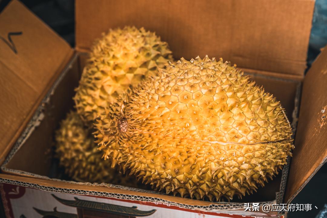 南京人囤物资,众彩年货攻略大全