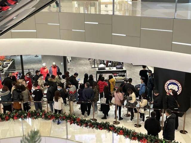 曾被全民*制抵**，加拿大鹅在华却销量大增，网友：有钱没地花了