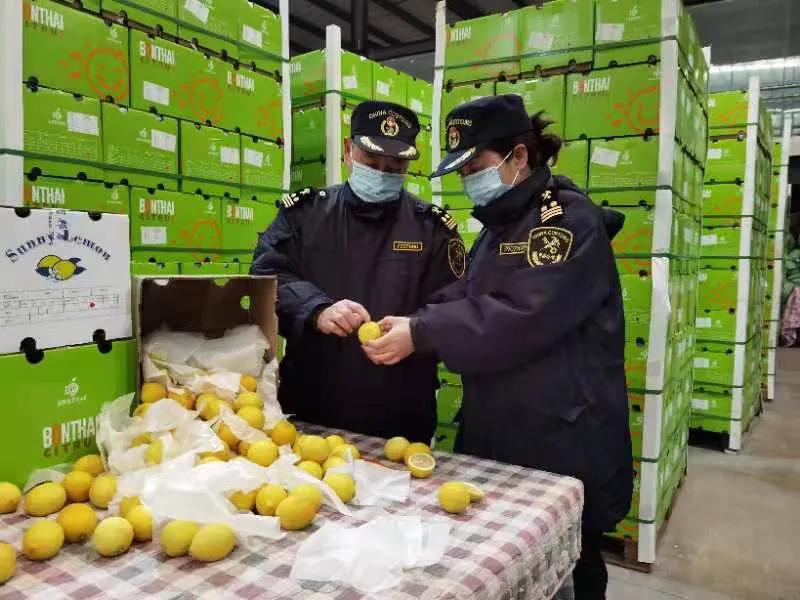 凭生产计划预约通关，这招绝了