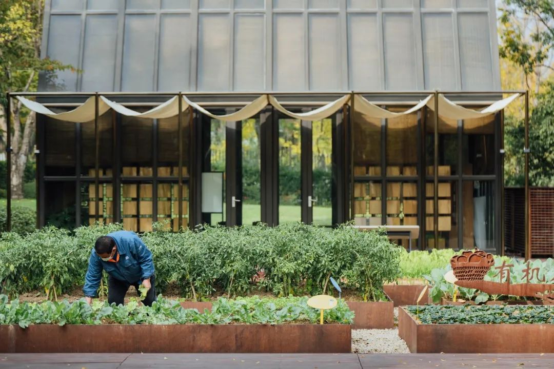 跟随邻里撰稿人，走进治愈力Max的社区空间