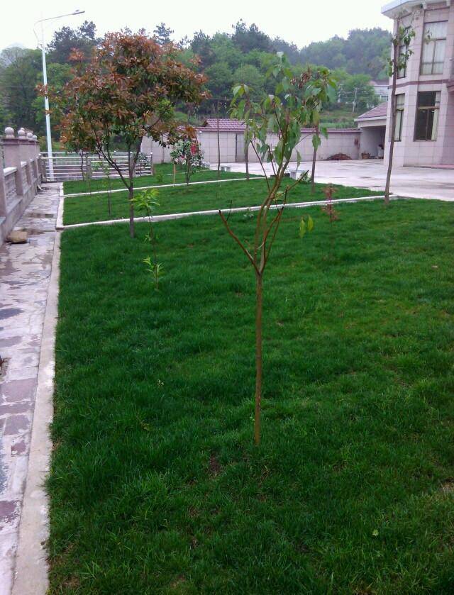 晒晒我家花30万建的别墅,晒一下我的农村小别墅