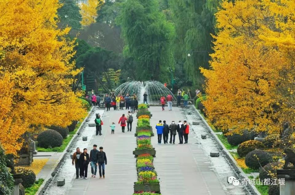 抓住秋天的尾巴！都江堰必打卡的8大晚秋好去处，步青山观烟岚云岫、入古城拾千年烟火，来过都会爱上