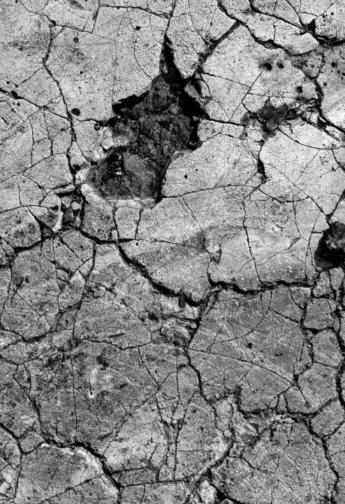 地球大陆形成,第八个大洲被发现了吗