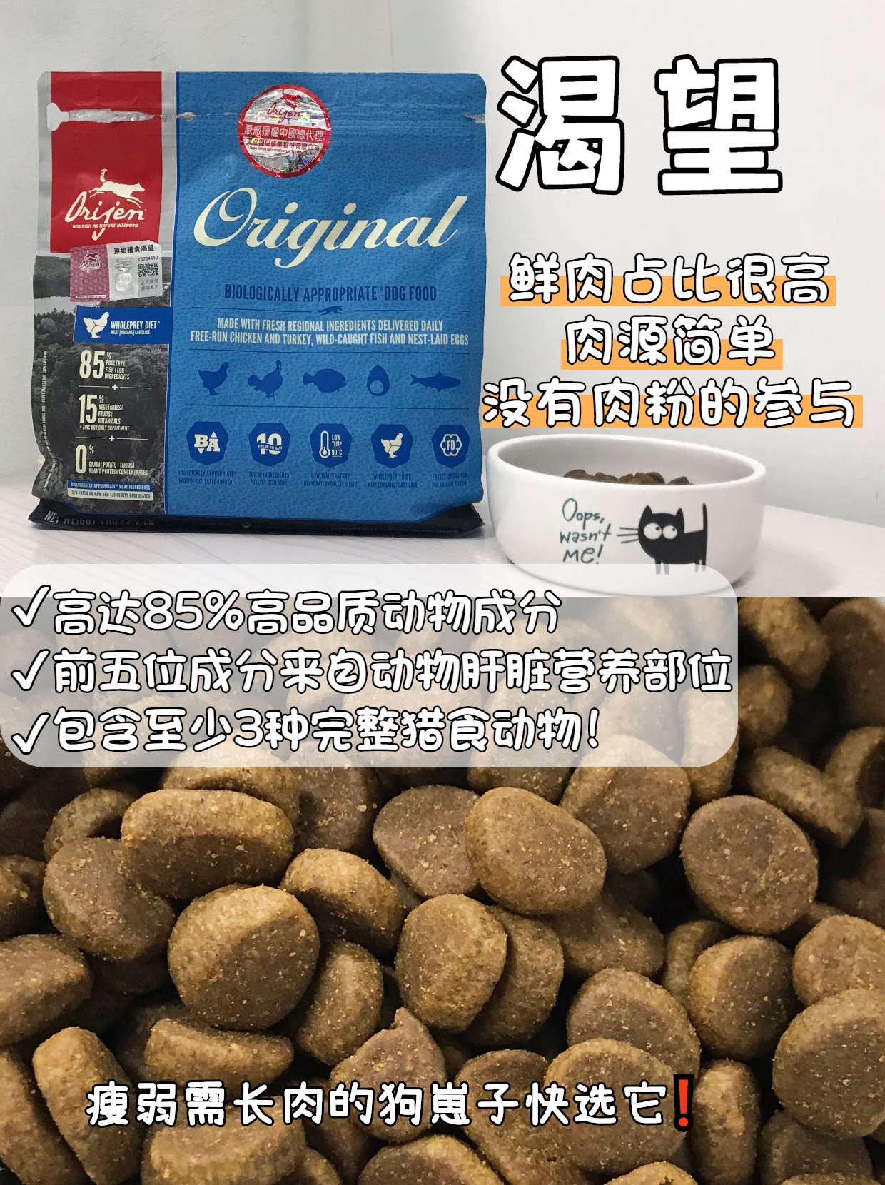 进口狗粮和国产狗粮的区别,选粮不迷茫九款不同月薪猫粮推荐