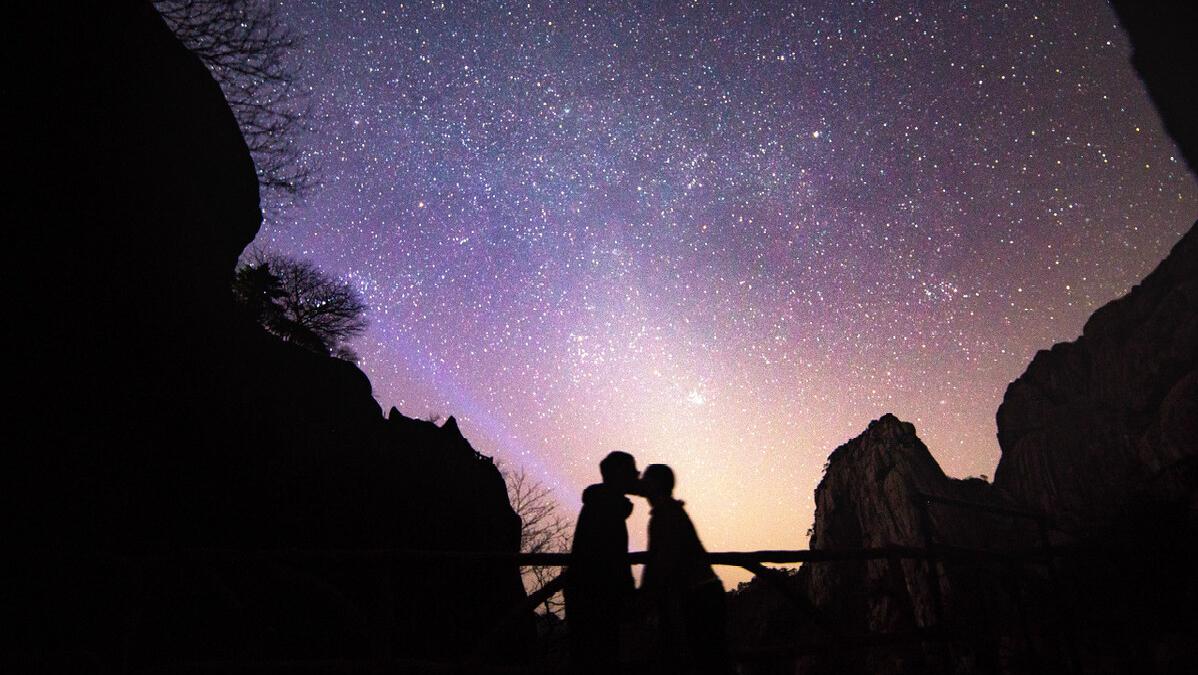 十二星座谁和狮子座最合适,十二星座谁最懂狮子座