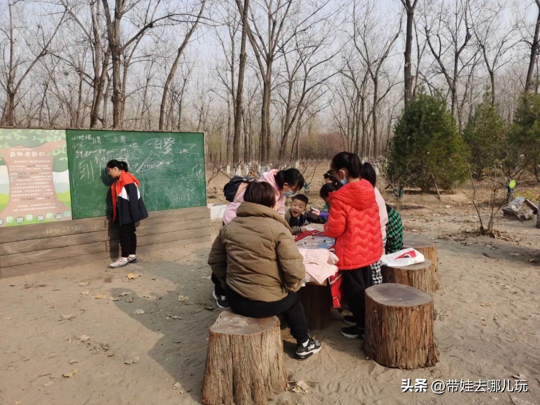 在森林公园里玩耍,中国可以骑行的森林公园