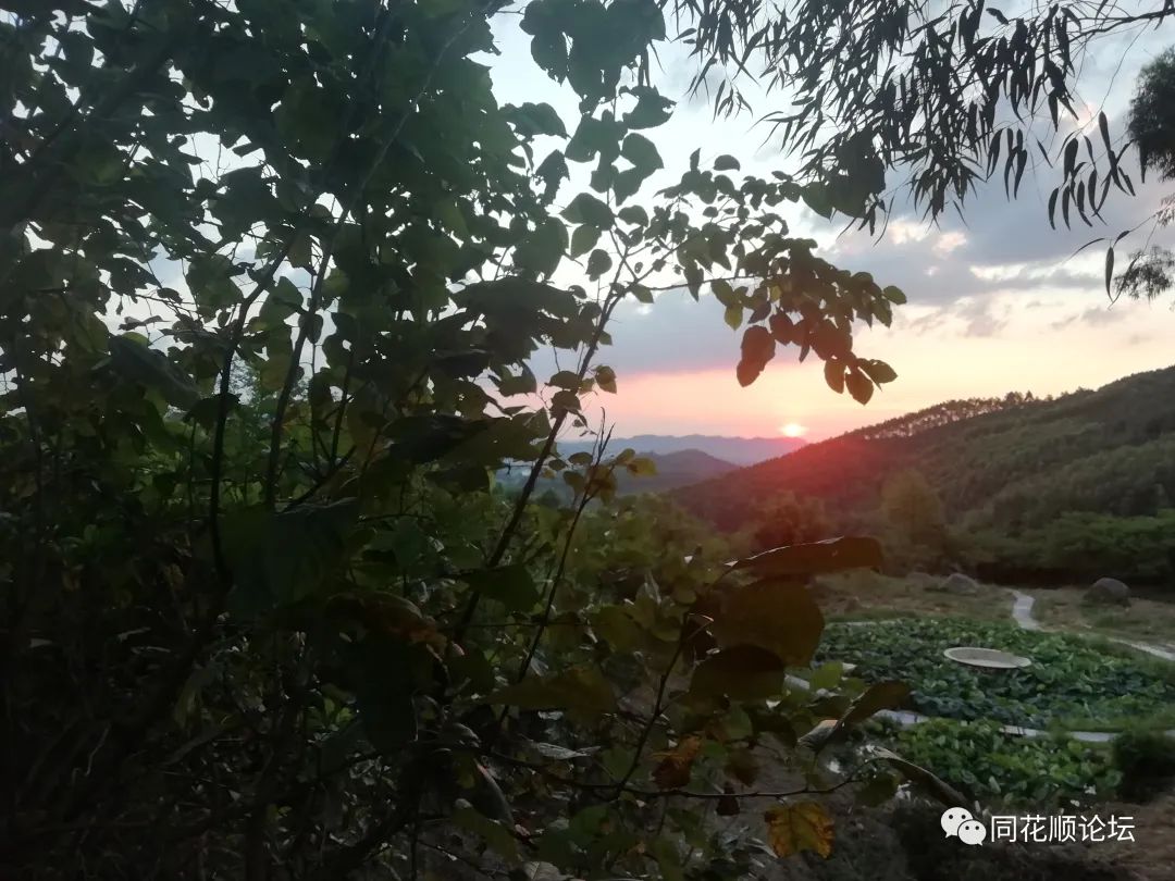 溯溪攀爬,溯溪徒步露营