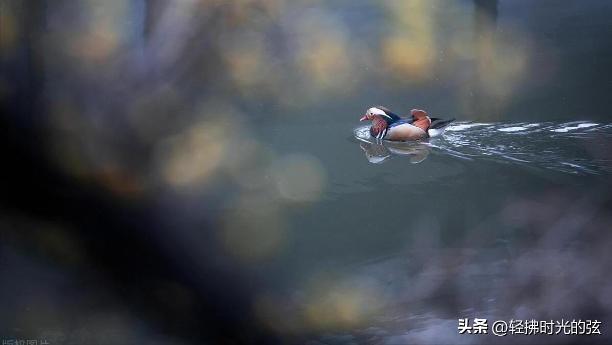 初唐四杰诗十二首,初唐四杰的名篇名句