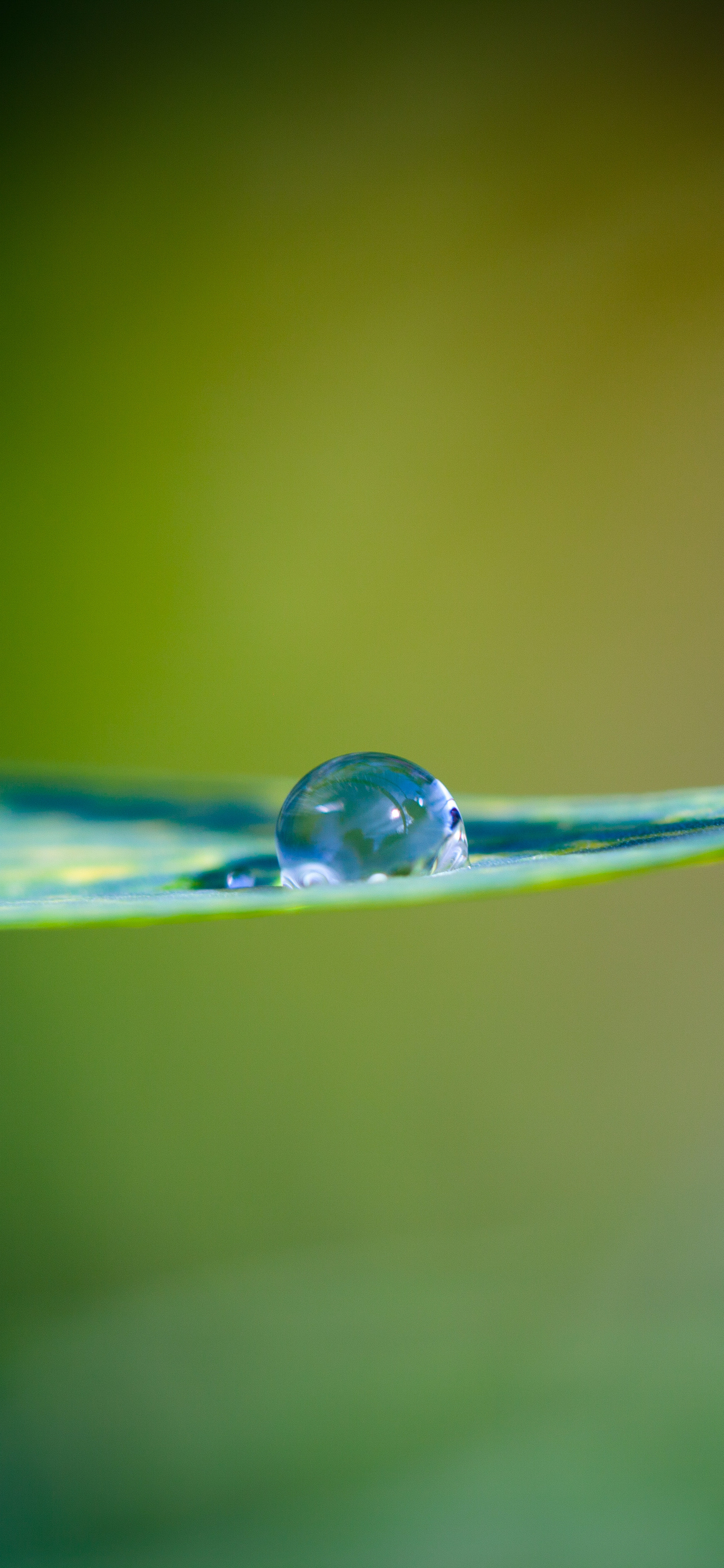 壁纸护眼好看的高清壁纸,华为壁纸绿色护眼图片大全高清