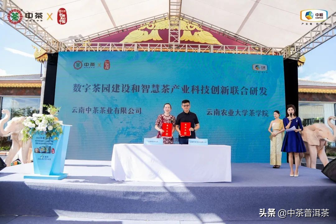 中茶圆茶蓝印2010年,中茶蓝印圆茶官网价格