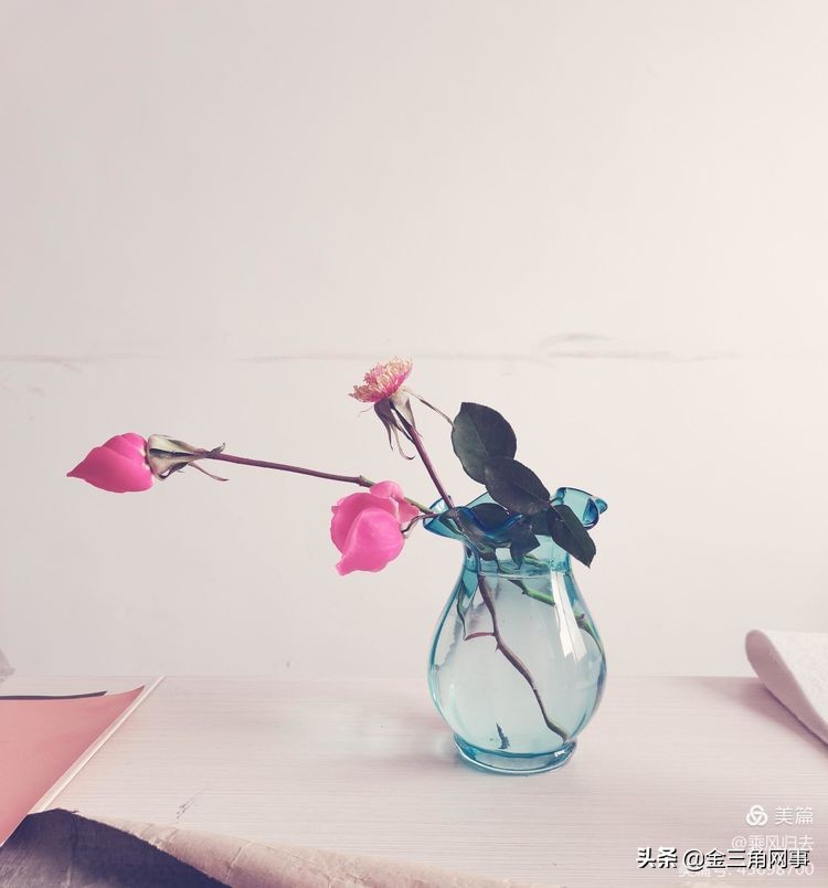 临猗庙上初中推进并践行植物标本课程