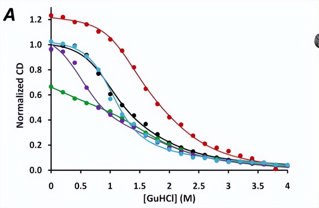 血红素蛋白结构与功能,血红素蛋白的作用效果