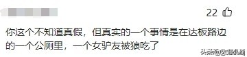 情侣野外发现尸体,情侣拜天地