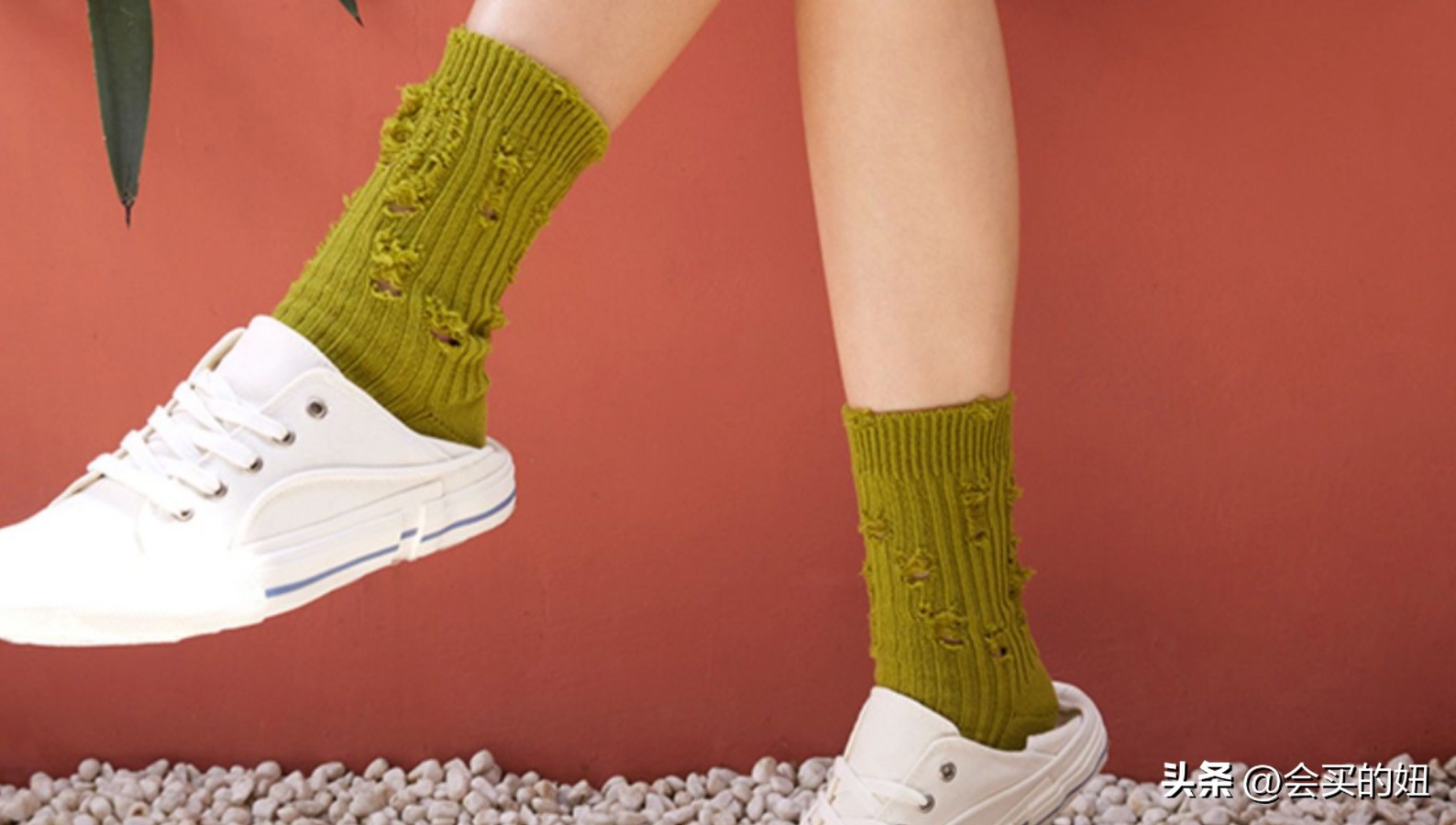 如何挑选适合自己的袜子,资深袜子控的袜子推荐