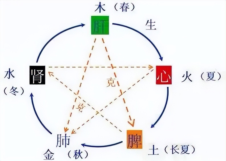 慢性肺病如何保养肺部功能,慢性肺病冬天怎么过冬