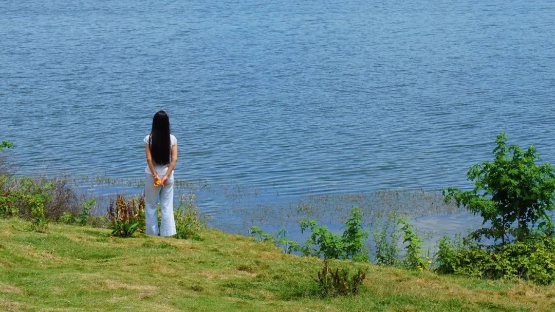 学会忍住情绪的书籍,学会克制自己的贪婪欲望