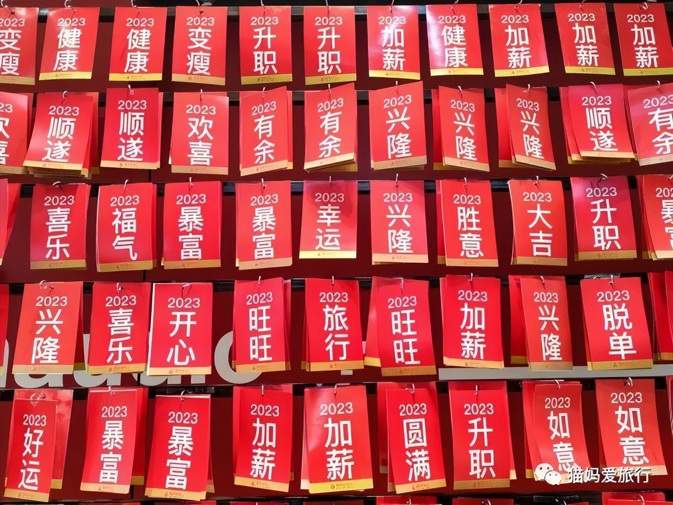 5天“趣”玩青岛，我的私藏遛娃路线