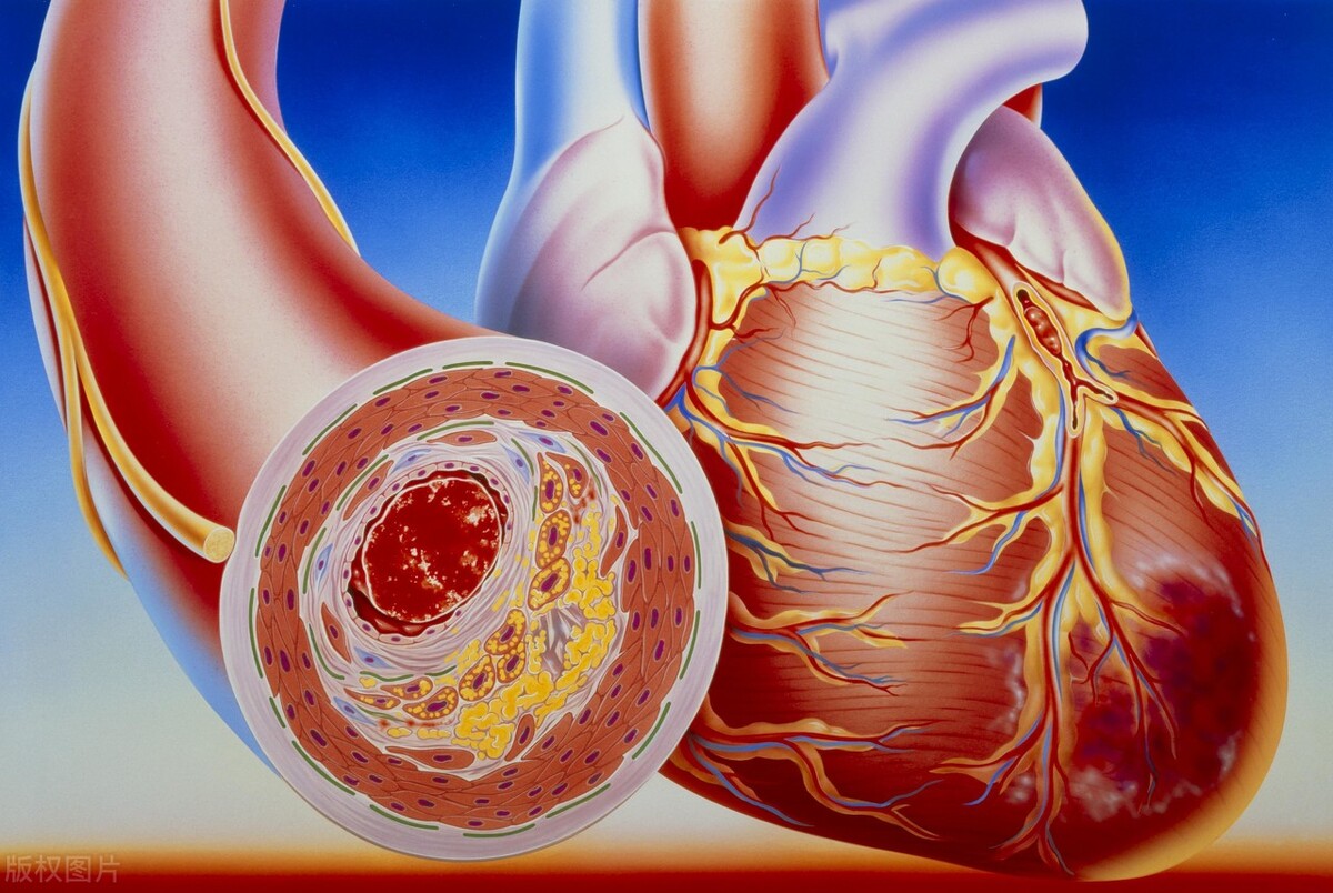 男性补充叶酸和维生素b的效果,男性吃叶酸可以预防心脏病吗