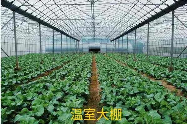 齐齐哈尔我的家乡,美丽的家乡黑龙江齐齐哈尔