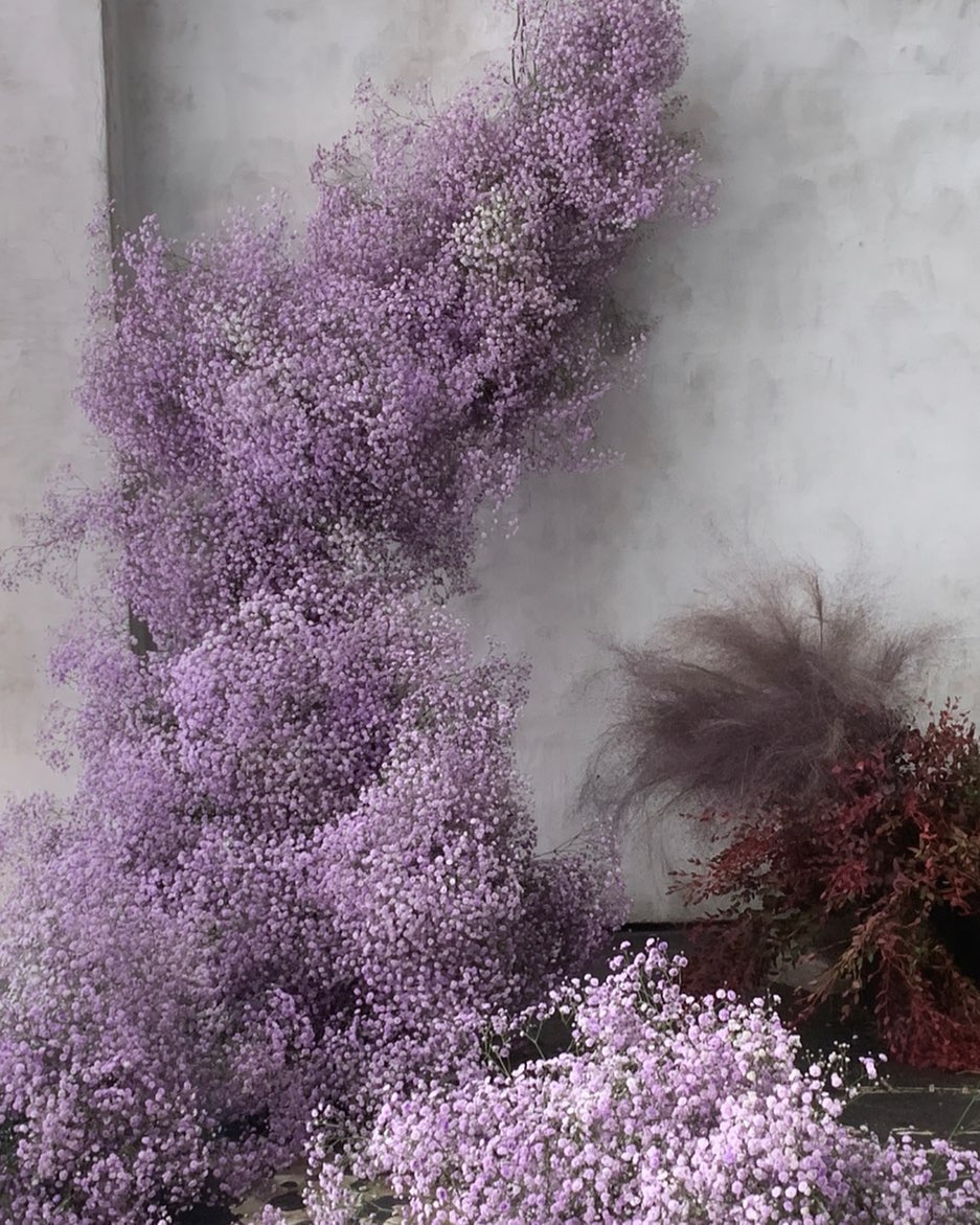 花艺教程花材打理知识,花艺教程常用花材及叶材有哪些