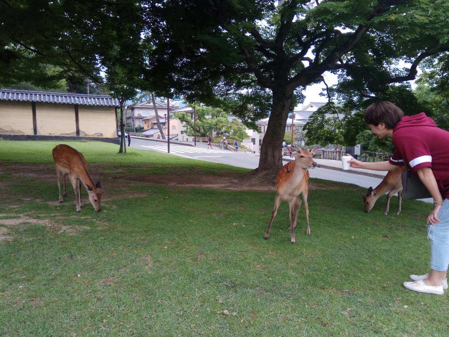 风月照古今,皓月照山川