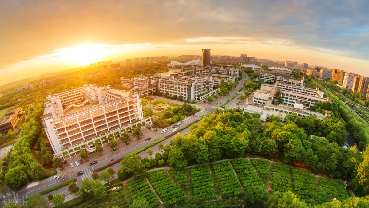 浙江大学是由几所学校合并的,浙江大学合并前几个学校的实力