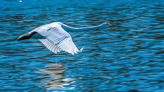 辽宁消费最低的地方,辽宁消费低适合居住的城市